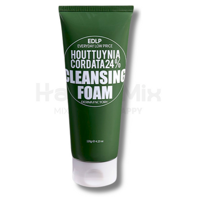Пінка для очищення обличчя Derma Factory Houttuynia Cordata 24% Cleansing Foam, 150 мл 18763 фото